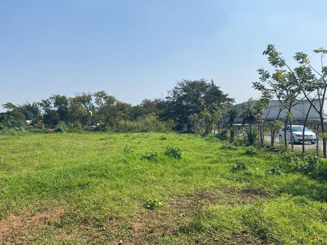 Terreno en renta en Coatepec, Veracruz