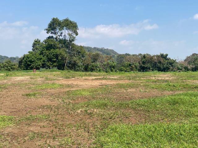 Terreno en renta en Coatepec, Veracruz