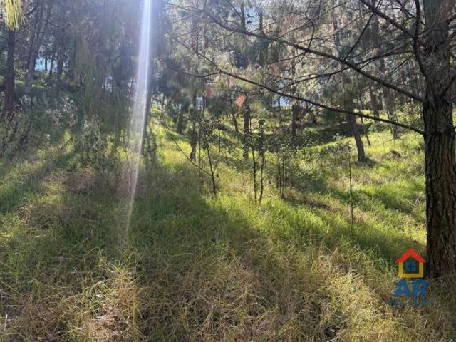 Terreno en venta en Las Vigas De Ramírez, Veracruz