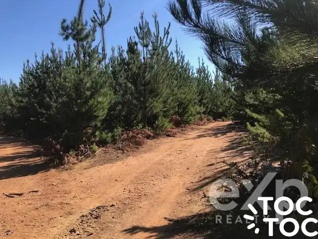 Terreno en venta en Constitución, Maule