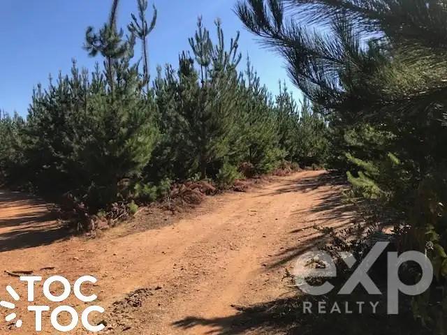 Terreno en venta en Constitución, Maule
