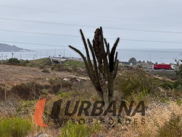 Terreno en venta en Coquimbo