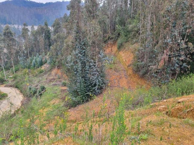 Terreno en Coronel