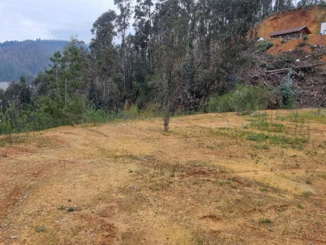 Terreno en Coronel