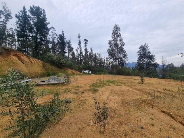 Terreno en Coronel