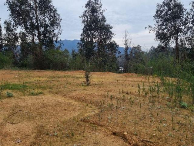 Terreno en Coronel