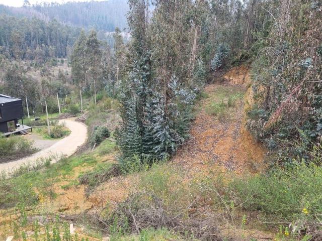 Terreno en Coronel
