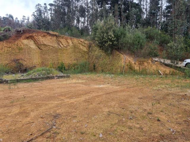 Terreno en Coronel