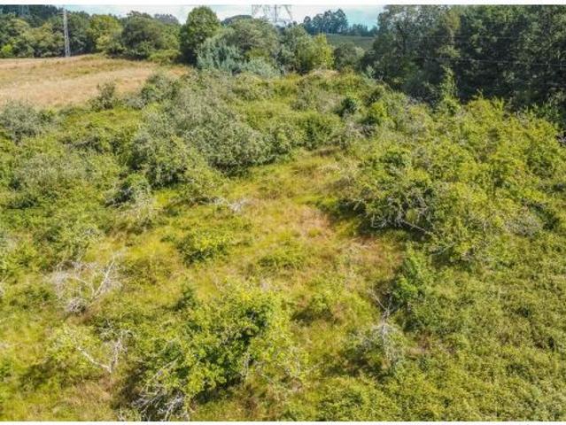 Local Comercial en venta en Piloña, Asturias