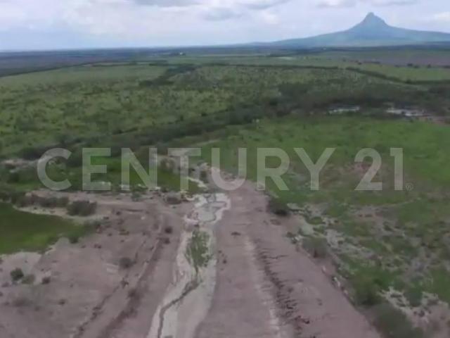 Terreno en venta en González, Tamaulipas