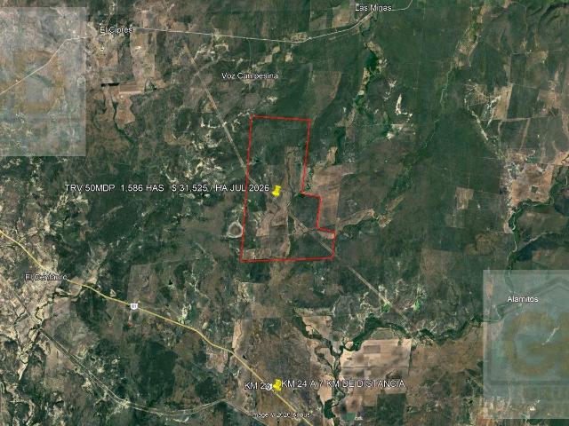 Terreno en venta en González, Tamaulipas