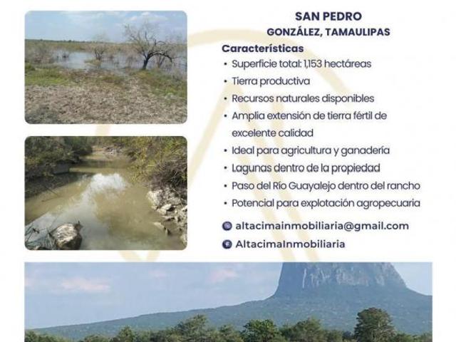 Terreno en venta en González, Tamaulipas
