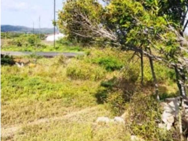 Terreno en venta en Pueblo Nuevo, Falcón