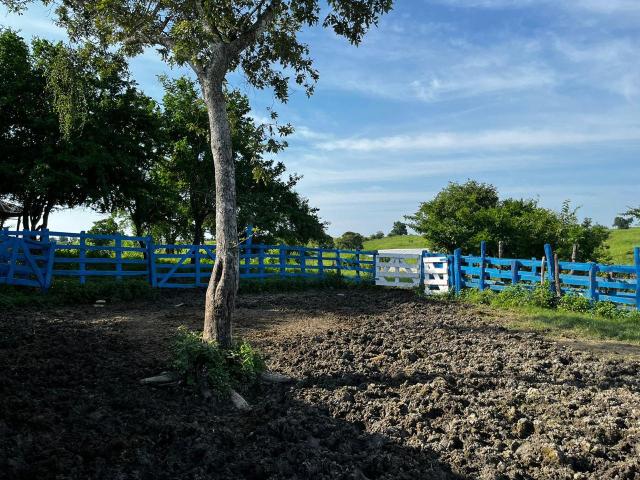 Terreno en venta en Tempoal, Veracruz
