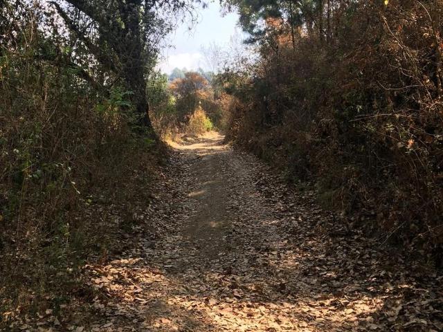 Terreno en venta en Villa Guerrero, Estado de México
