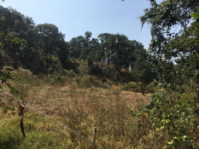 Terreno en venta en Villa Guerrero, Estado de México