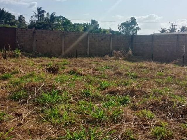 Terreno en venta en Cúa, Bolívar