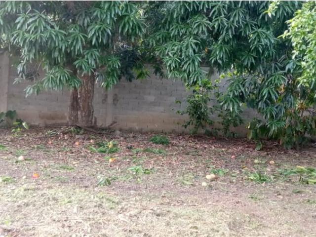 Terreno en venta en Guacara, Carabobo