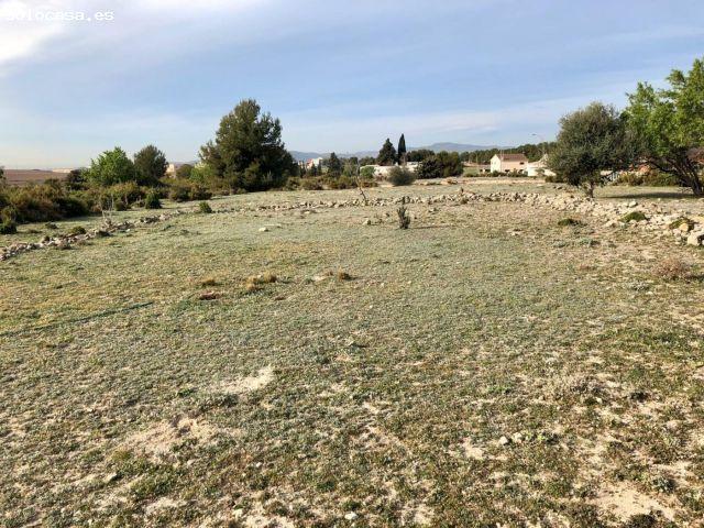 Local Comercial en venta en Baix Penedès, Catalunya