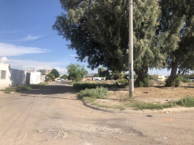 Terreno en venta en Francisco. I Madero, Francisco I. Madero (Chávez)