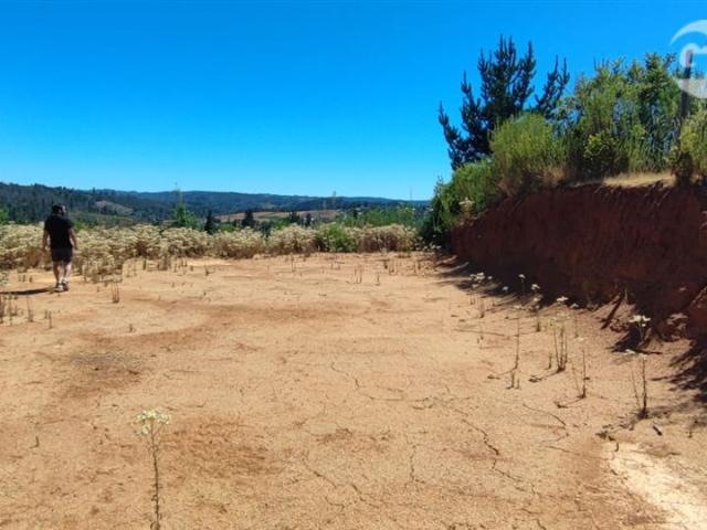 Terreno en venta en Florida, Biobío