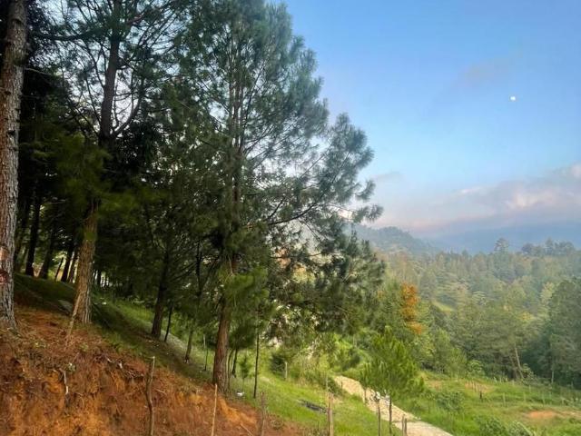 Terreno en venta en Pueblo Nuevo Solistahuacán, Chiapas