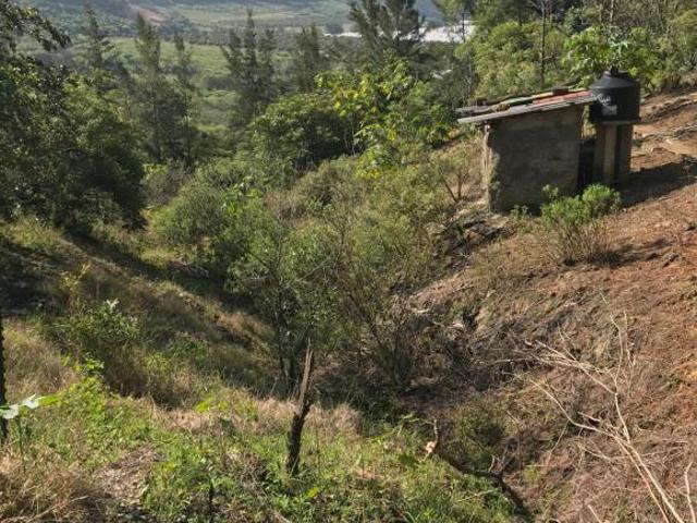 Terreno en venta en Zapotlán El Grande, Jalisco