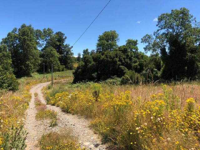 Terreno en venta en Frutillar, Los Lagos