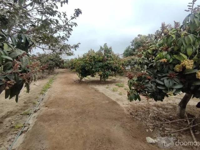 Terreno venta en Huaral, Lima Metropolitana