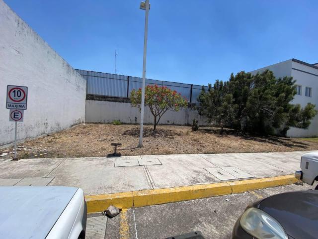 Terreno en renta en Tepic, Nayarit