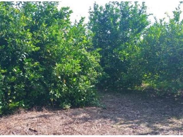Local Comercial en venta en Guadalupe, Área Metropolitana de Murcia