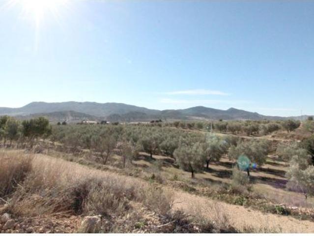 Local Comercial en venta en Partida Bayón, el Vinalopó Mitjà / El Vinalopó Medio