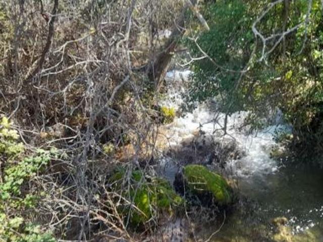 Local Comercial en venta en Segura De La Sierra, Andalucía