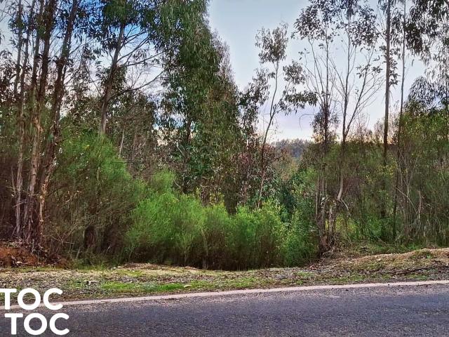 Terreno en venta en Hualqui, Provincia de Concepción