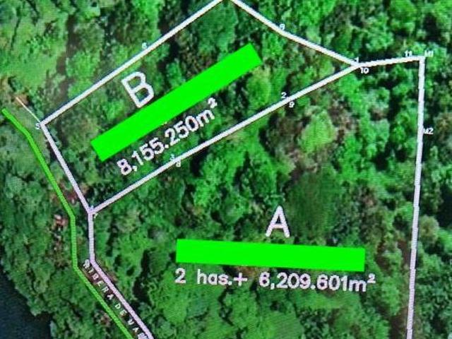 TERRENO EN ISLA COLÓN BOCAS DEL TORO EN VENTA