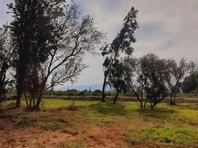Terreno en venta en Carampangue, Metropolitana