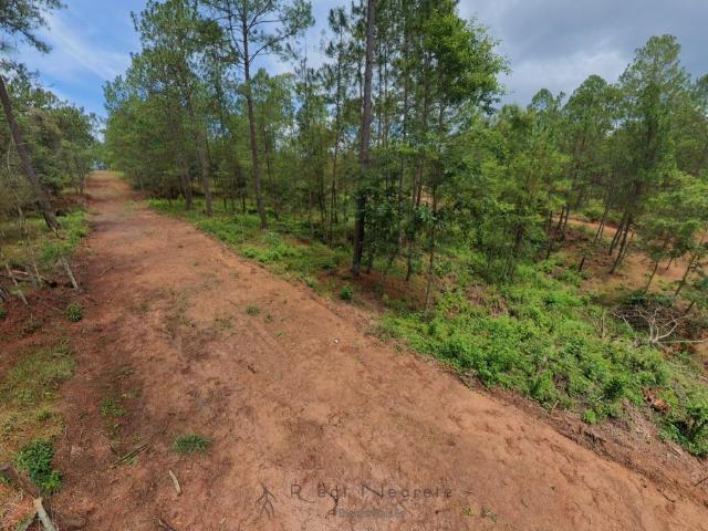 Terreno en venta en Jitotol, Chiapas