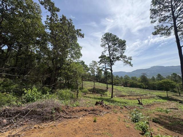 Terreno en venta en Jitotol, Chiapas