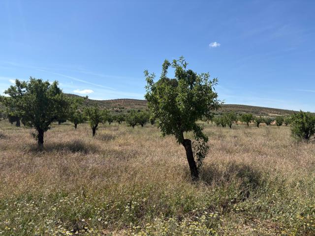 Terreno en venta en Fuente del Pino, Altiplano