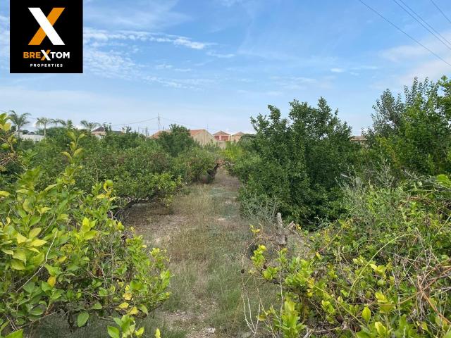 Terreno en venta en La Albatalía, Área Metropolitana de Murcia