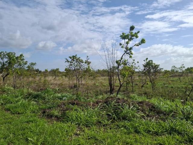 Terreno en venta en Maturin, Monagas