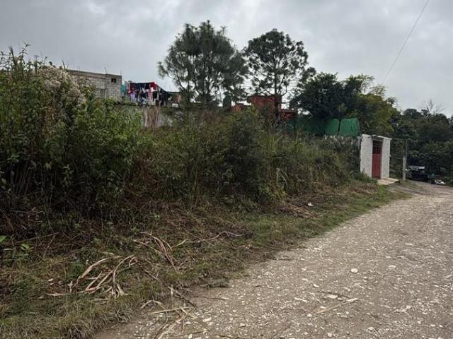 Terreno en renta en Xicotepec, Puebla