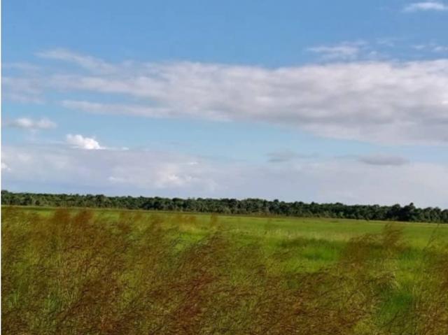 Terreno en venta en Maturin, Monagas