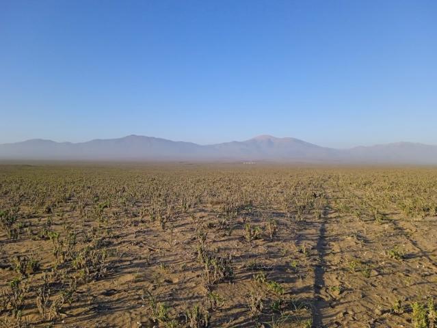 Terreno en venta en La Higuera, Coquimbo
