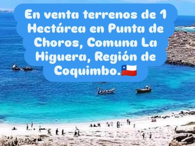 Terreno en venta en La Higuera, Coquimbo