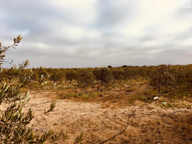 Terreno en venta en La Higuera, Coquimbo