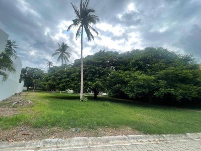 TERRENO EN LA HIGUERA, MANZANILLO