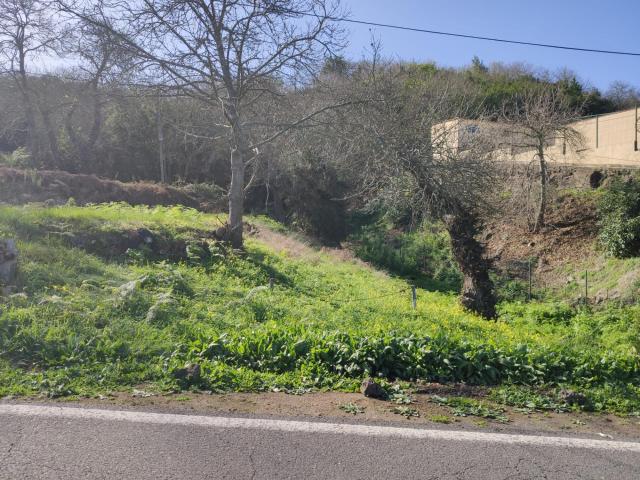 Terreno en venta en El Mayorazgo, La orotava