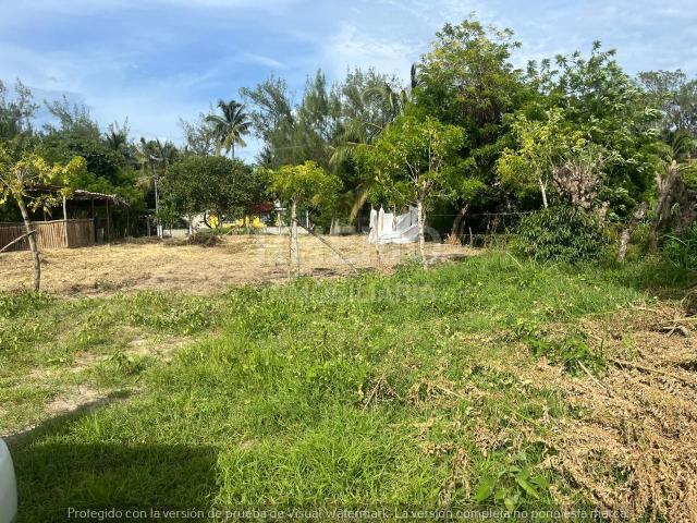 Terreno en renta en Tuxpan, Veracruz