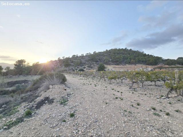 Local Comercial en venta en el Vinalopó Mitjà / El Vinalopó Medio, Valencia
